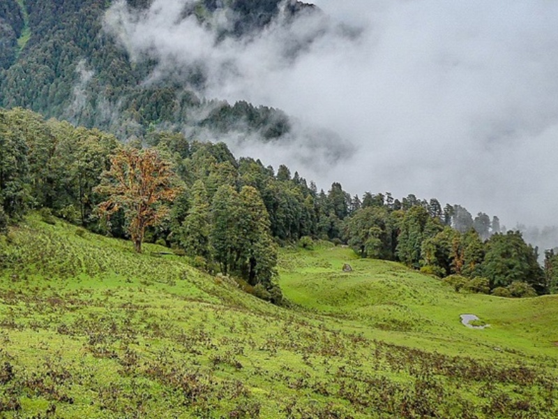 Harshil Valley Uttarkashi